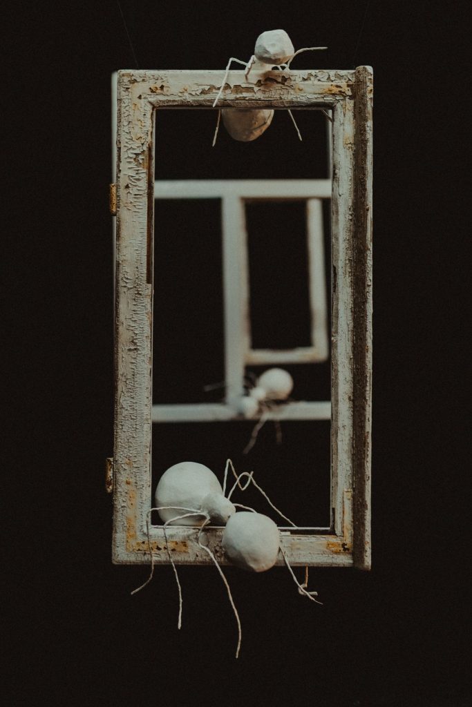 Białe lalki mrówek na starej białej ramie okiennej.